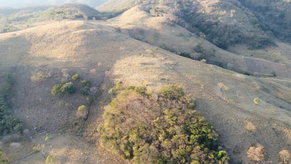 Fazenda à venda com 1 quarto, 400000m² - Foto 4
