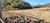 Fazenda-Sítio-Chácara, 50 hectares - Foto 8