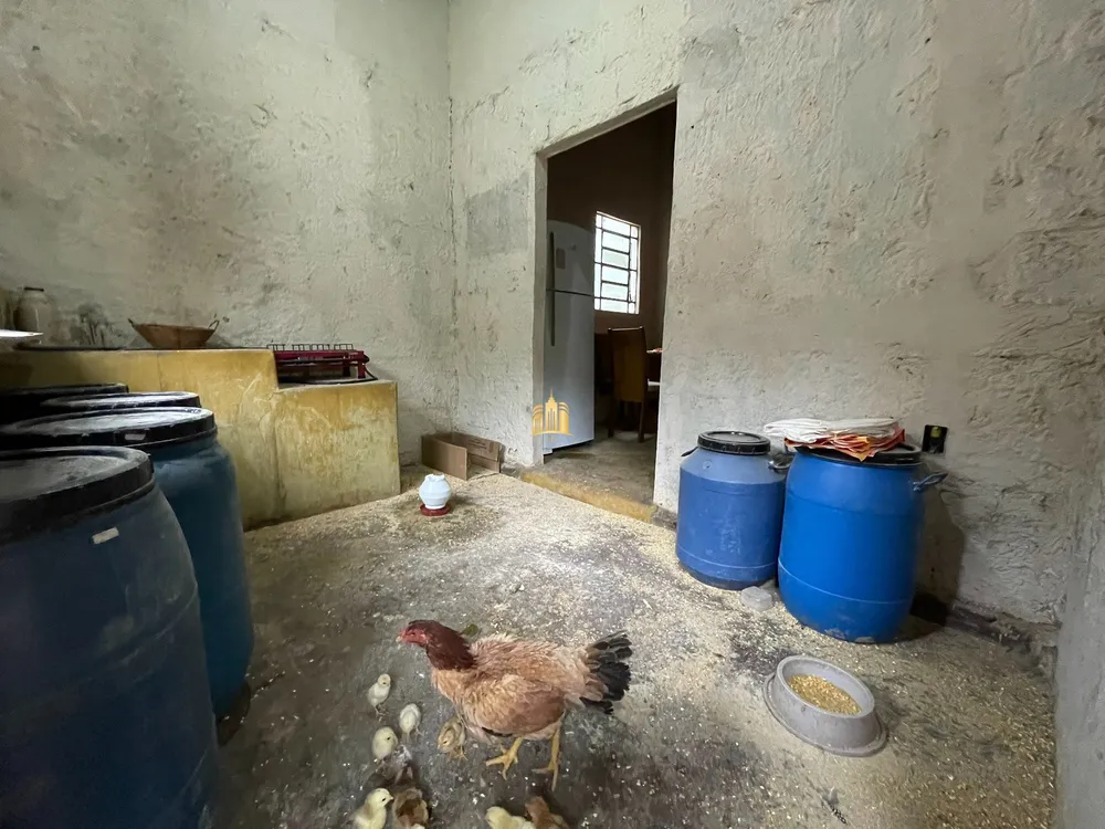 Sítio, 4 quartos, 4200 m² - Foto 15