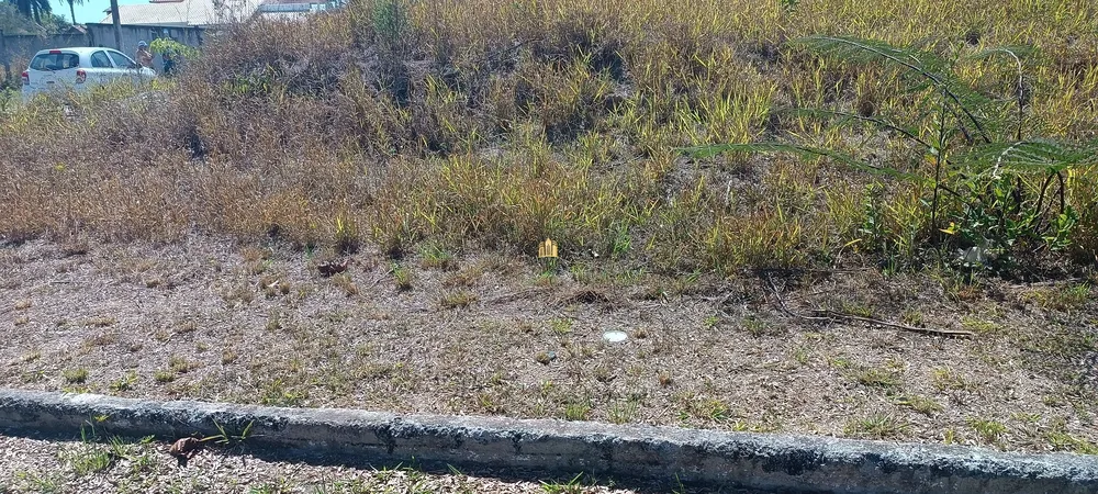 Terreno, 528 m² - Foto 11