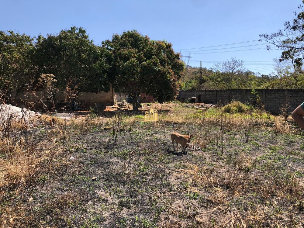 Terreno, 1000 m² - Foto 6