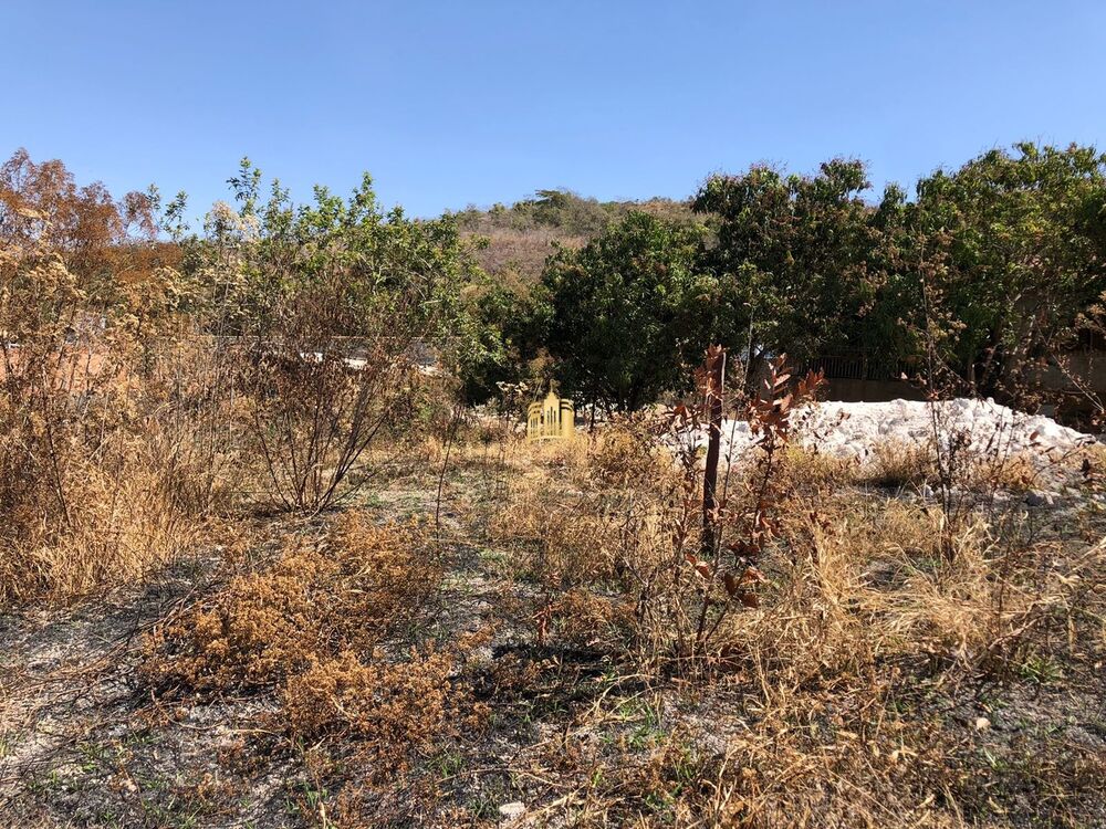 Terreno, 1000 m² - Foto 4