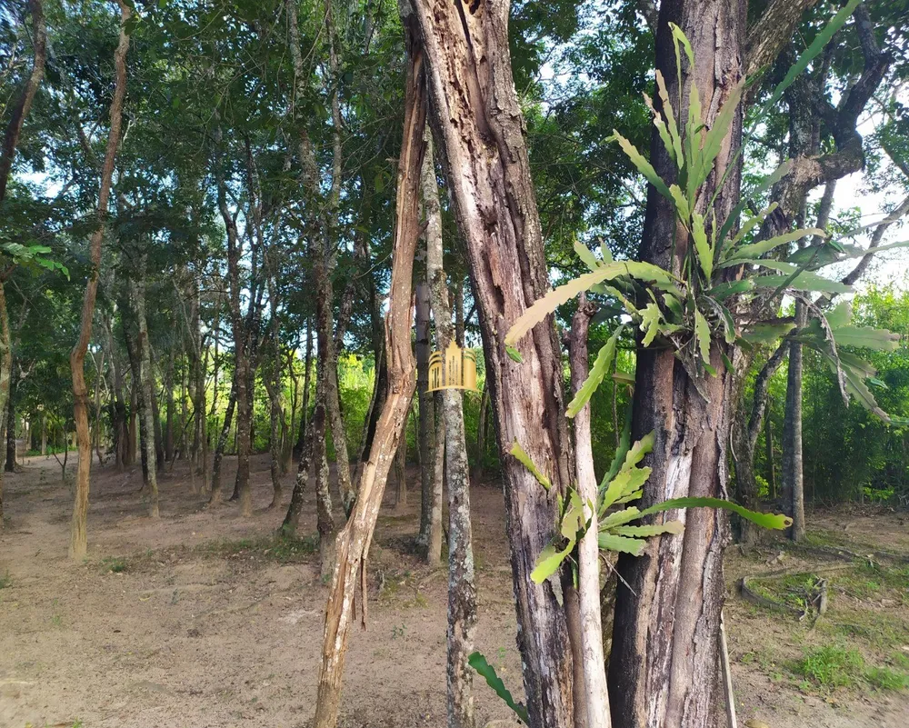 Sítio, 5 quartos, 1 hectares - Foto 3
