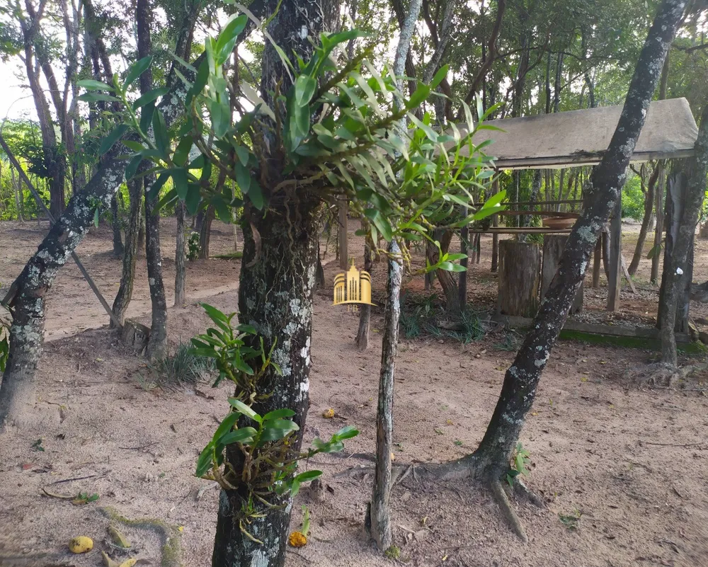 Sítio, 5 quartos, 1 hectares - Foto 4