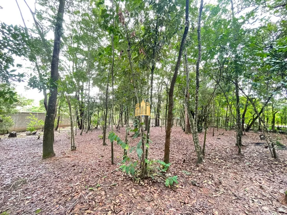 Terreno, 2000 m² - Foto 2