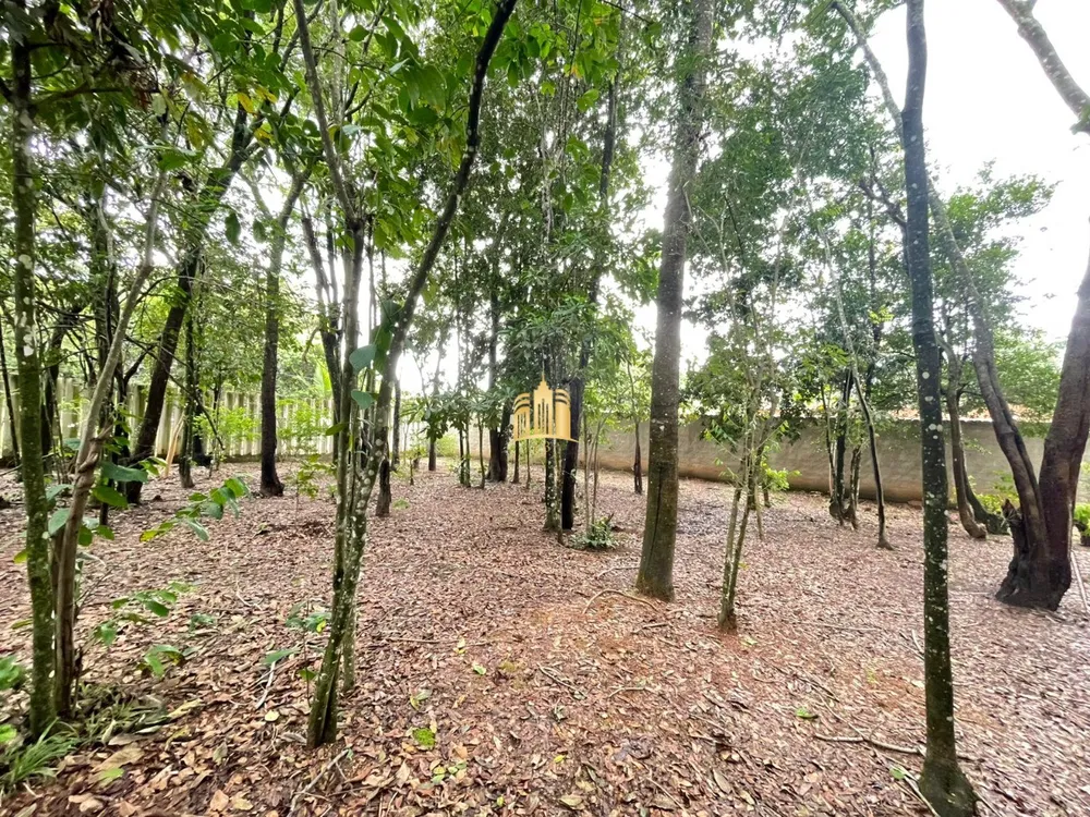 Terreno, 2000 m² - Foto 3