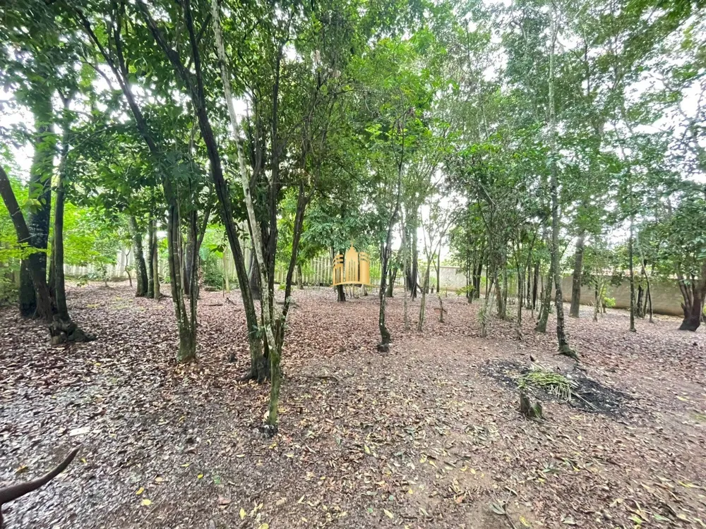 Terreno, 2000 m² - Foto 2