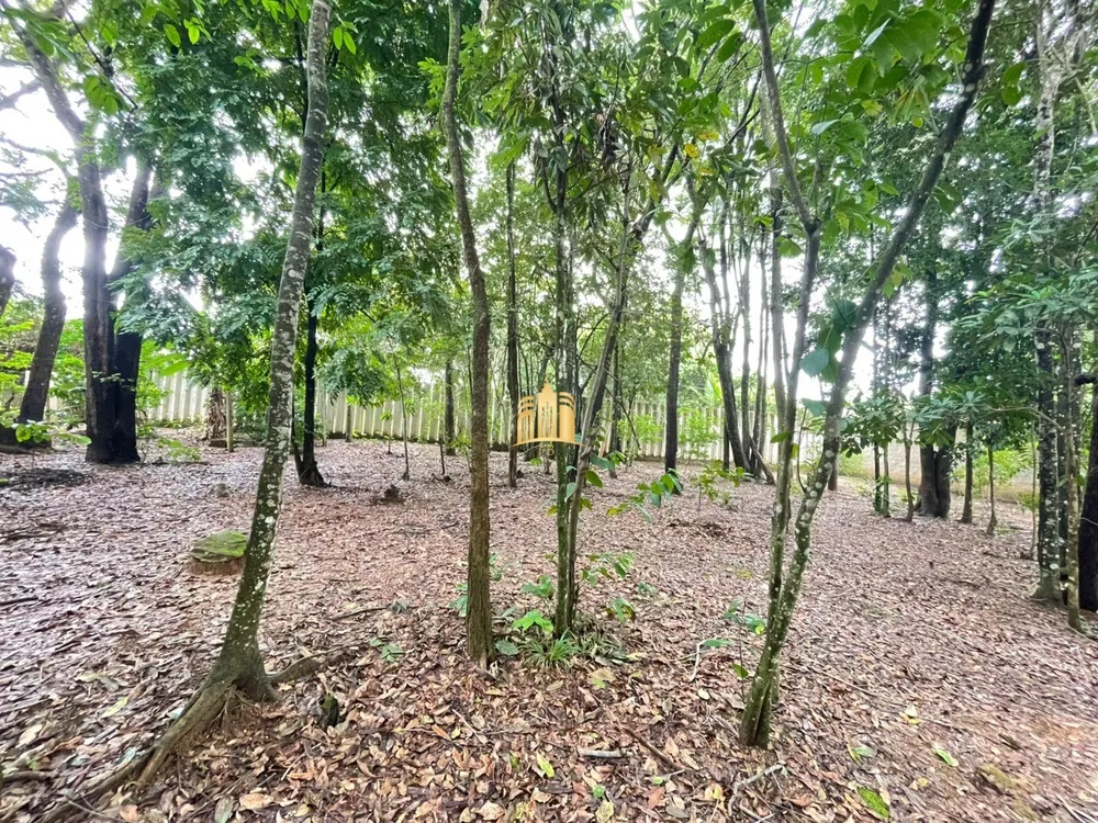 Terreno, 2000 m² - Foto 4