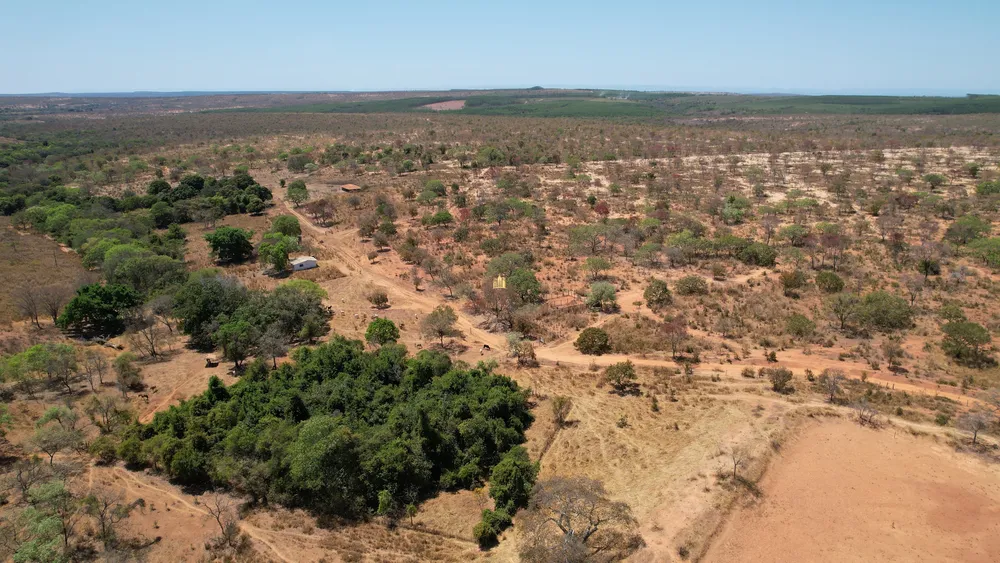 Fazenda, 271 hectares - Foto 19