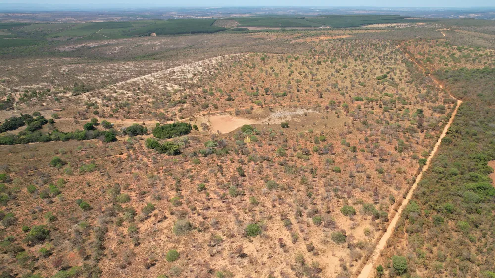 Fazenda, 271 hectares - Foto 16