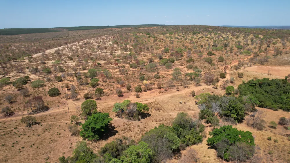 Fazenda, 271 hectares - Foto 3
