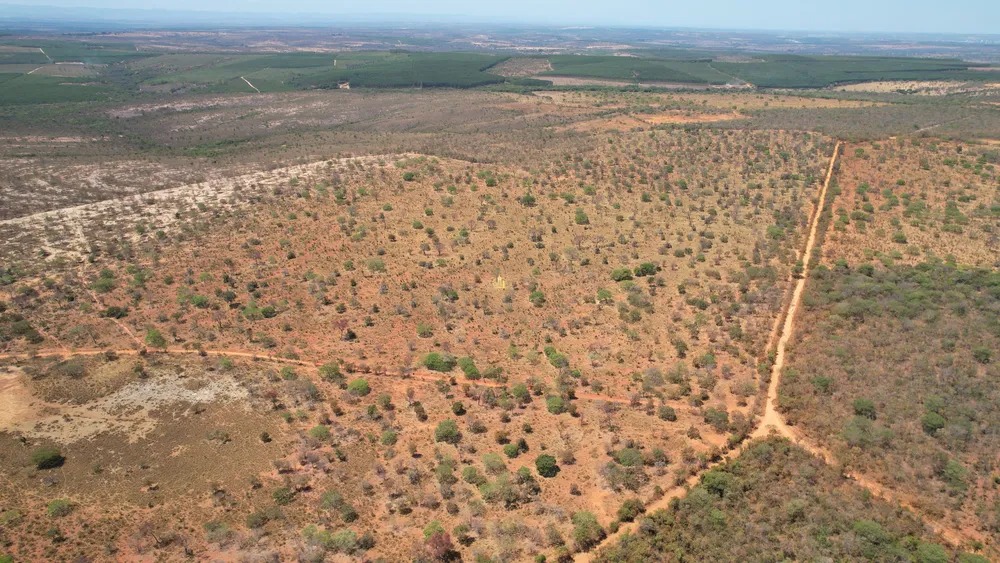 Fazenda, 271 hectares - Foto 4
