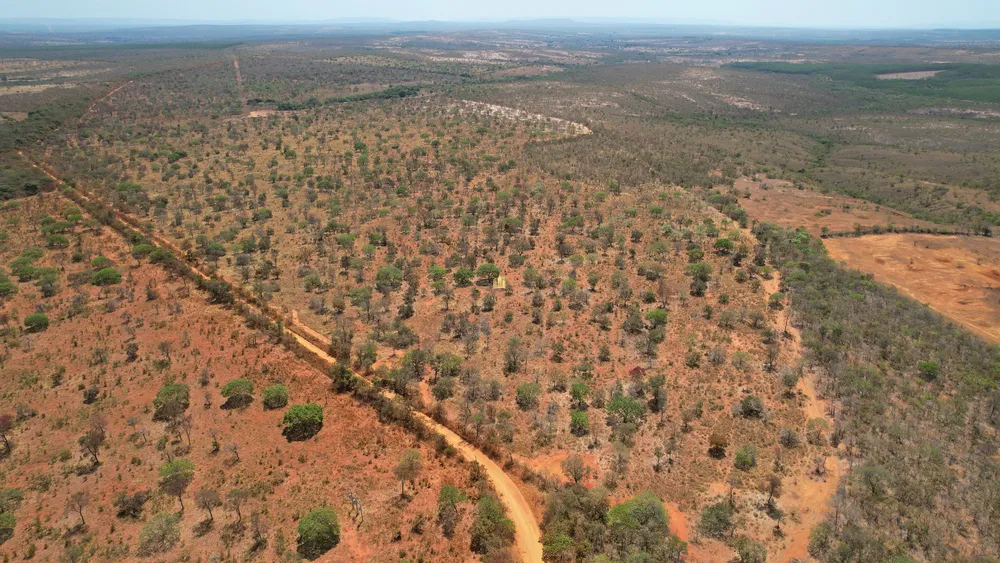 Fazenda, 271 hectares - Foto 11