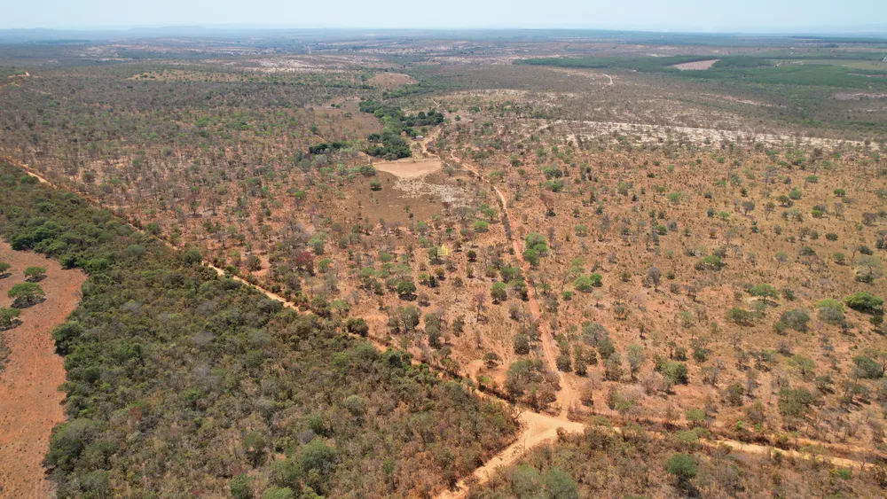 Fazenda, 271 hectares - Foto 17
