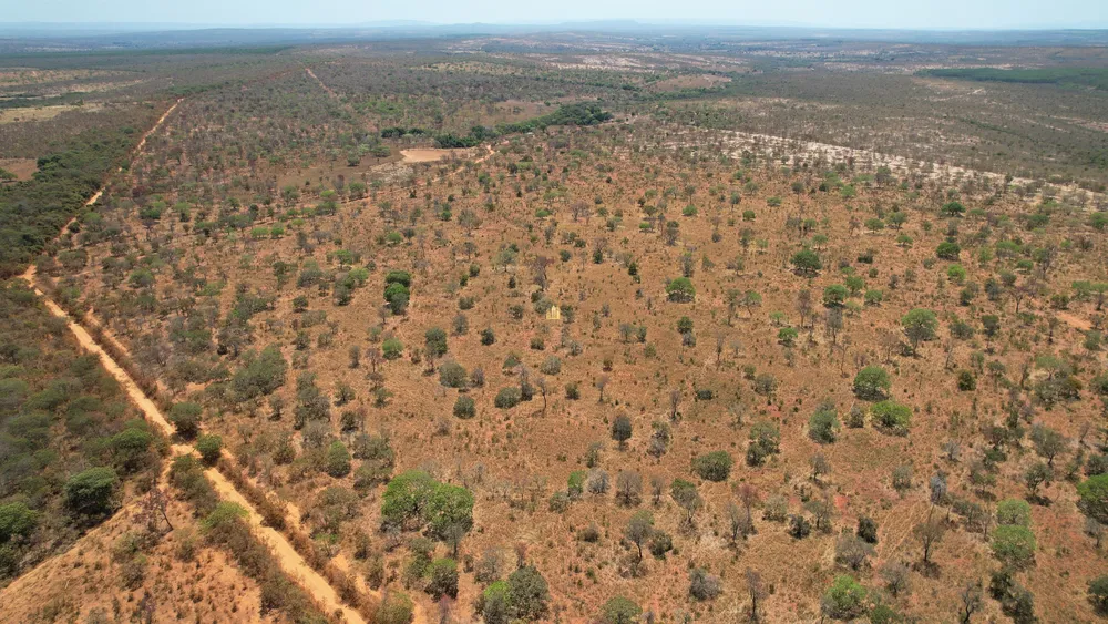 Fazenda, 271 hectares - Foto 1