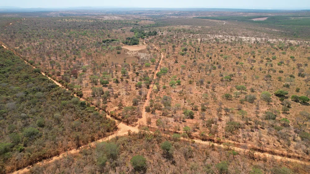 Fazenda, 271 hectares - Foto 13