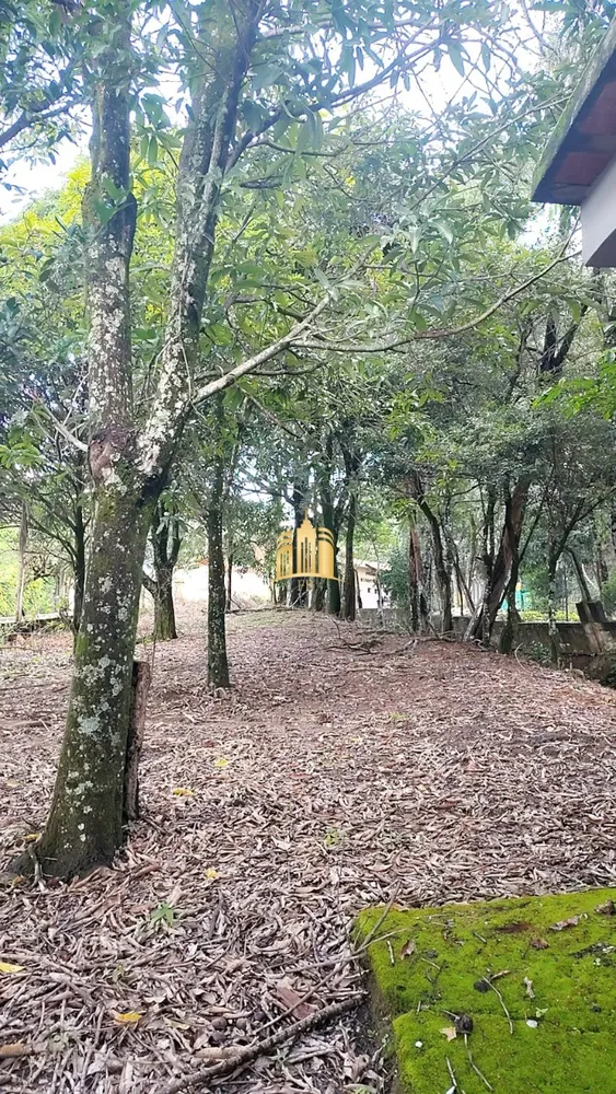 Sítio, 3 quartos, 5000 m² - Foto 1