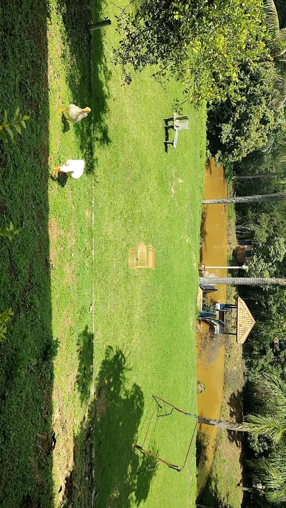 Sítio, 3 quartos, 5000 m² - Foto 7