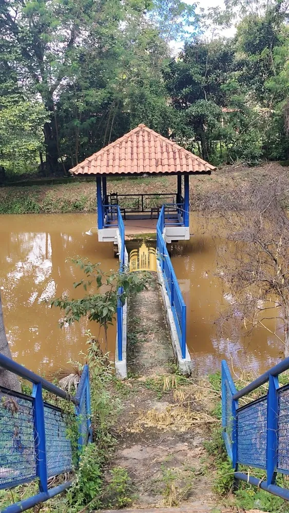 Sítio, 3 quartos, 5000 m² - Foto 3