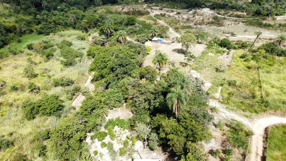 Terreno, 10000 m² - Foto 6