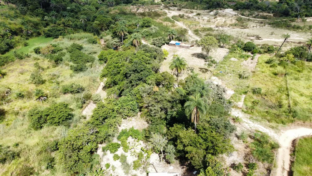 Terreno, 10000 m² - Foto 8