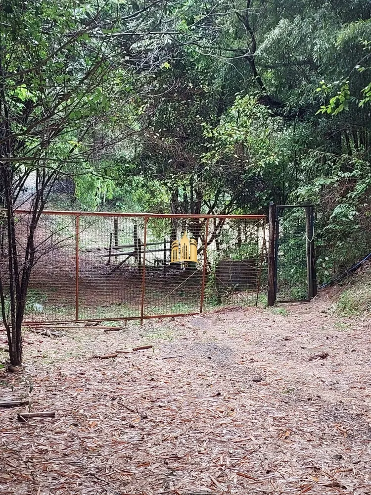 Fazenda, 23 hectares - Foto 2