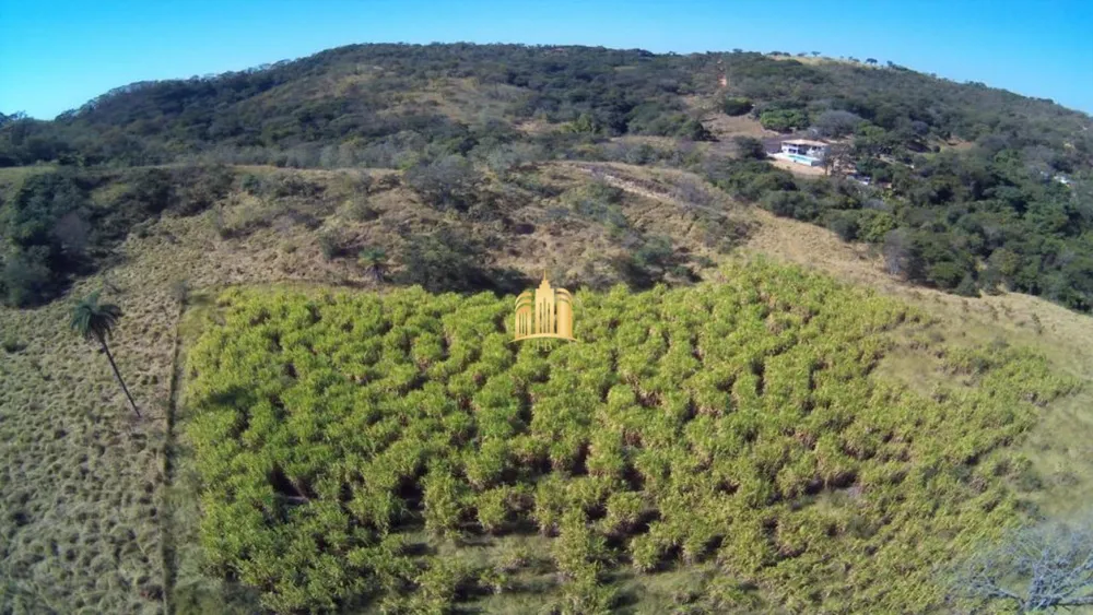 Fazenda, 23 hectares - Foto 1