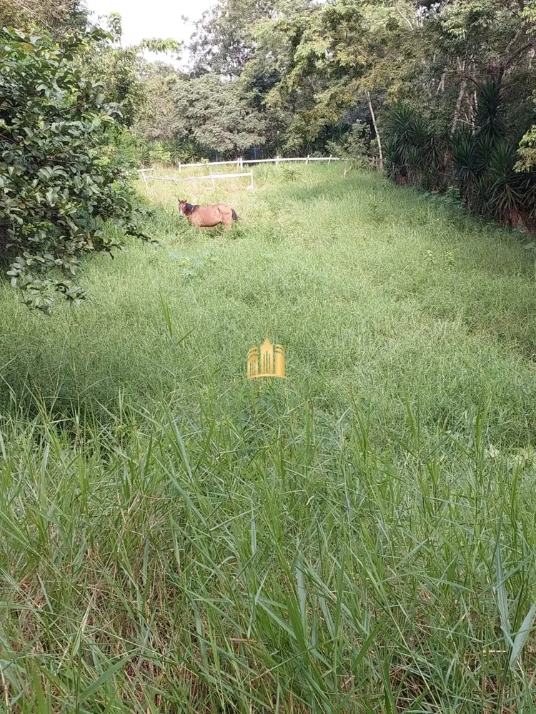 Fazenda, 23 hectares - Foto 4