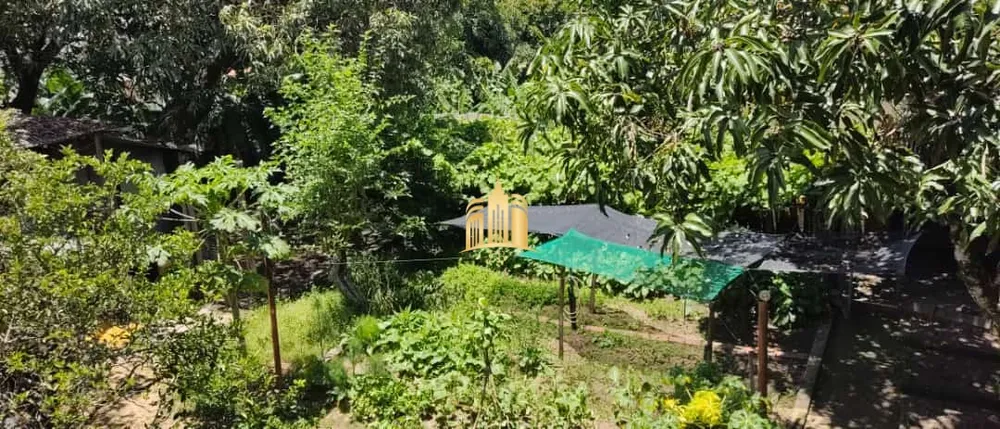 Sítio, 5 quartos, 1625 m² - Foto 12