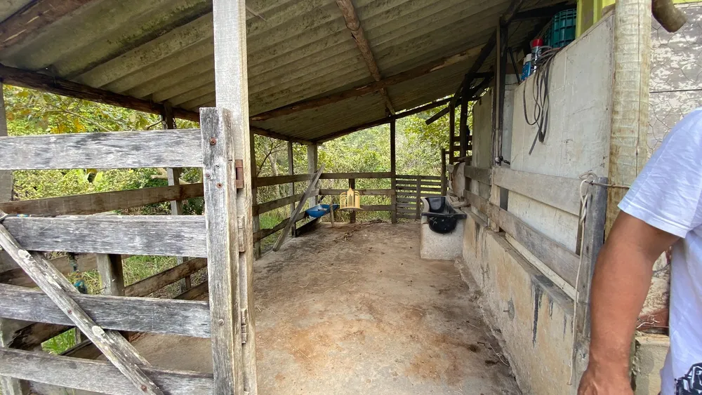 Sítio, 4 quartos, 1 hectares - Foto 3
