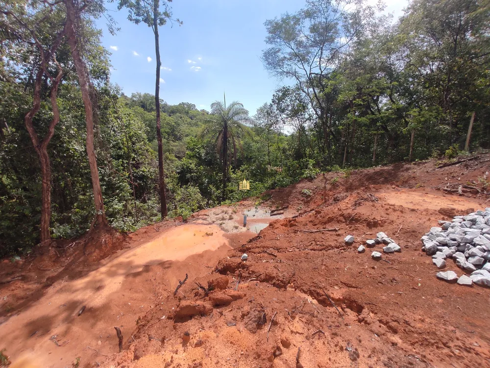 Terreno, 5000 m² - Foto 8