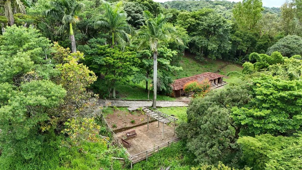 Sítio, 3 quartos, 3 hectares - Foto 12