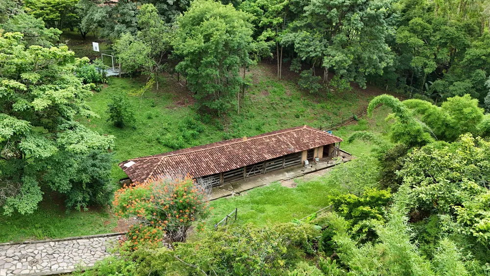 Sítio, 3 quartos, 3 hectares - Foto 1