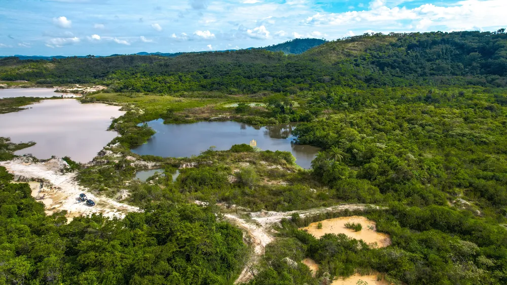 Terreno, 22 hectares - Foto 10