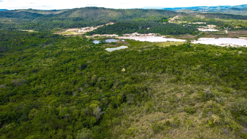 Terreno, 22 hectares - Foto 9