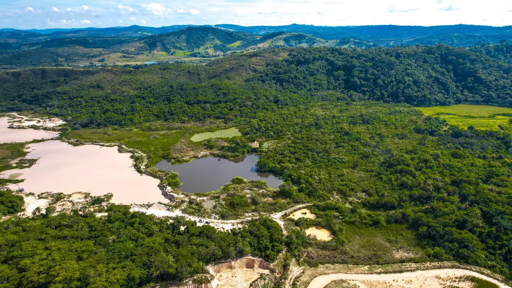 Terreno, 22 hectares - Foto 11