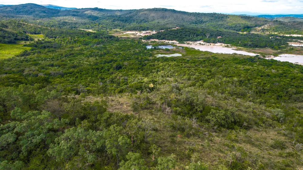 Terreno, 22 hectares - Foto 8