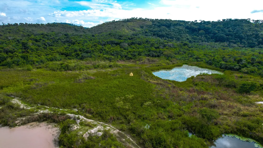 Terreno, 22 hectares - Foto 6