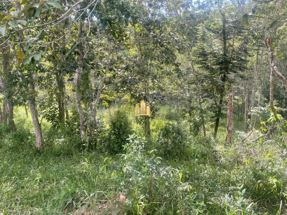 Terreno, 7000 m² - Foto 2