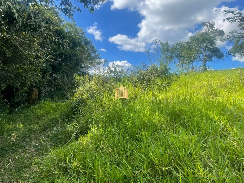 Terreno, 7000 m² - Foto 7