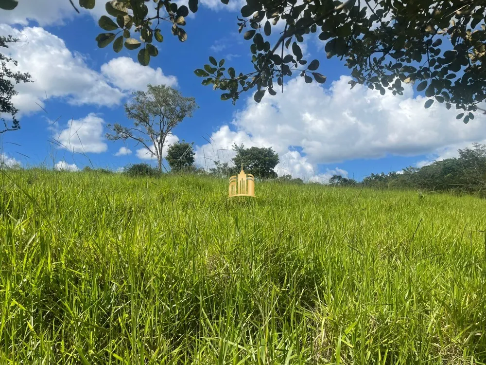 Terreno, 7000 m² - Foto 5