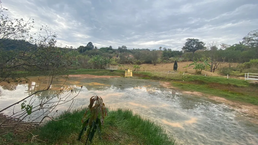 Sítio, 4 quartos, 5 hectares - Foto 10