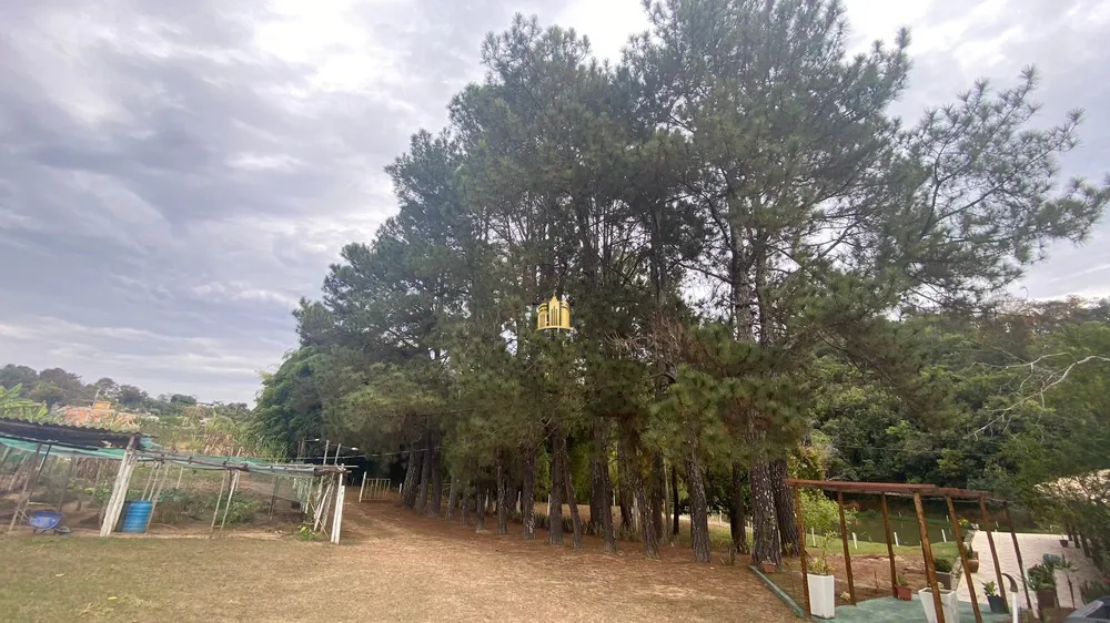 Sítio, 4 quartos, 5 hectares - Foto 12