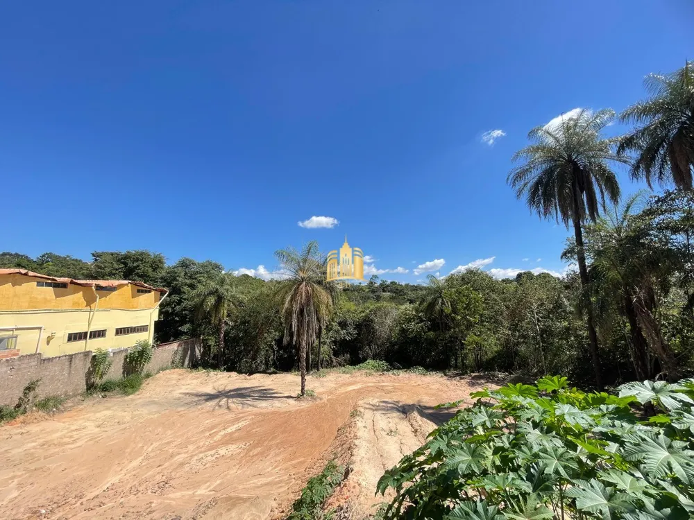 Terreno, 5000 m² - Foto 4