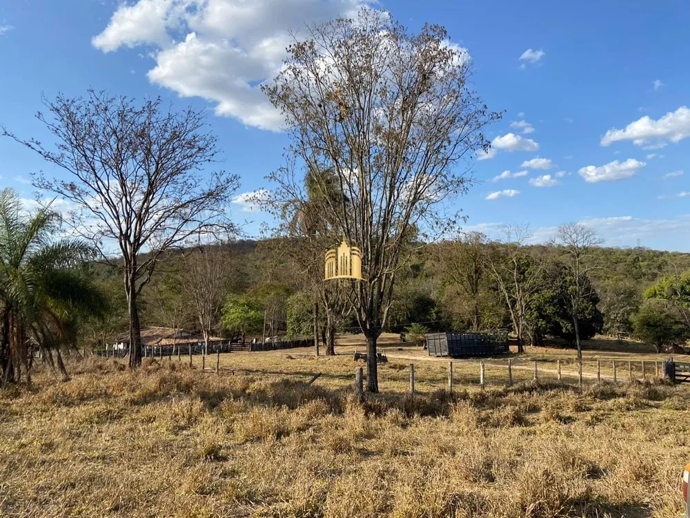 Fazenda, 60 hectares - Foto 20