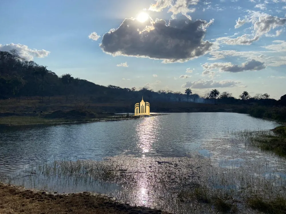Fazenda, 60 hectares - Foto 7