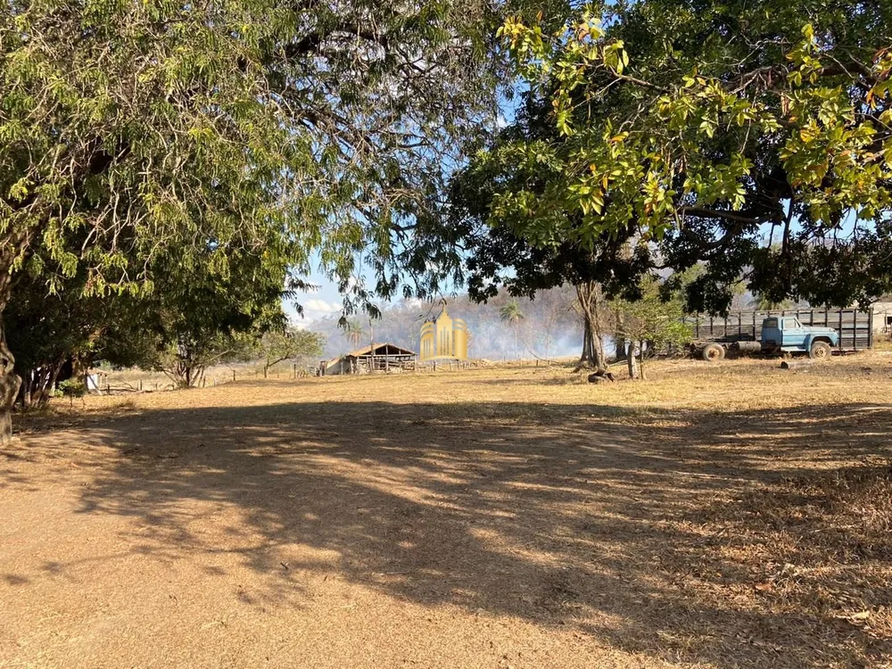 Fazenda, 60 hectares - Foto 8
