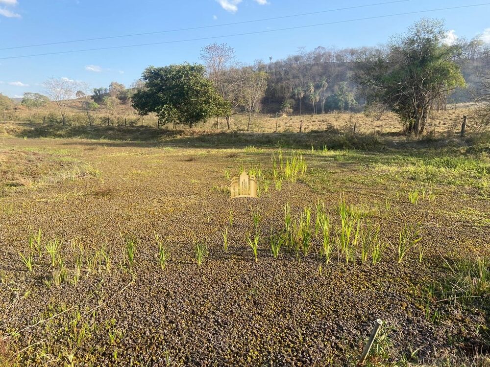 Fazenda, 60 hectares - Foto 9