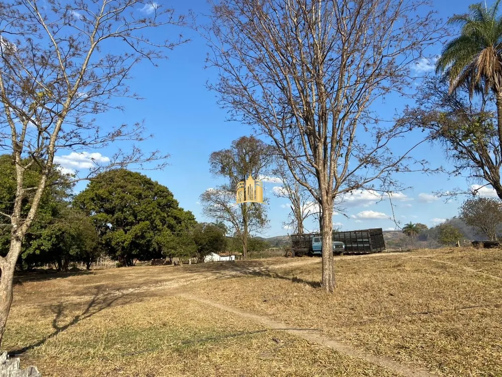 Fazenda, 60 hectares - Foto 6
