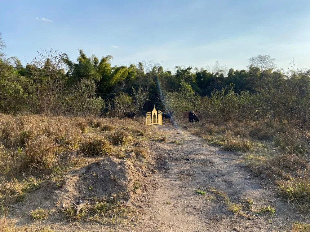 Fazenda, 60 hectares - Foto 15